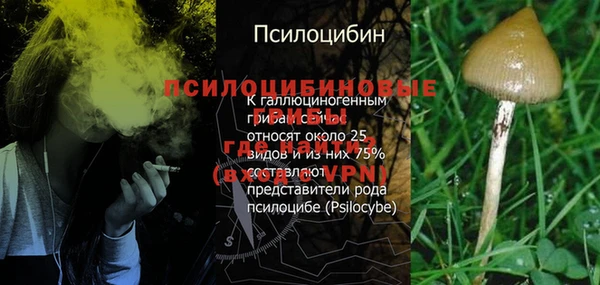 ПСИЛОЦИБИНОВЫЕ ГРИБЫ Аркадак