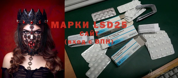 ПСИЛОЦИБИНОВЫЕ ГРИБЫ Аркадак